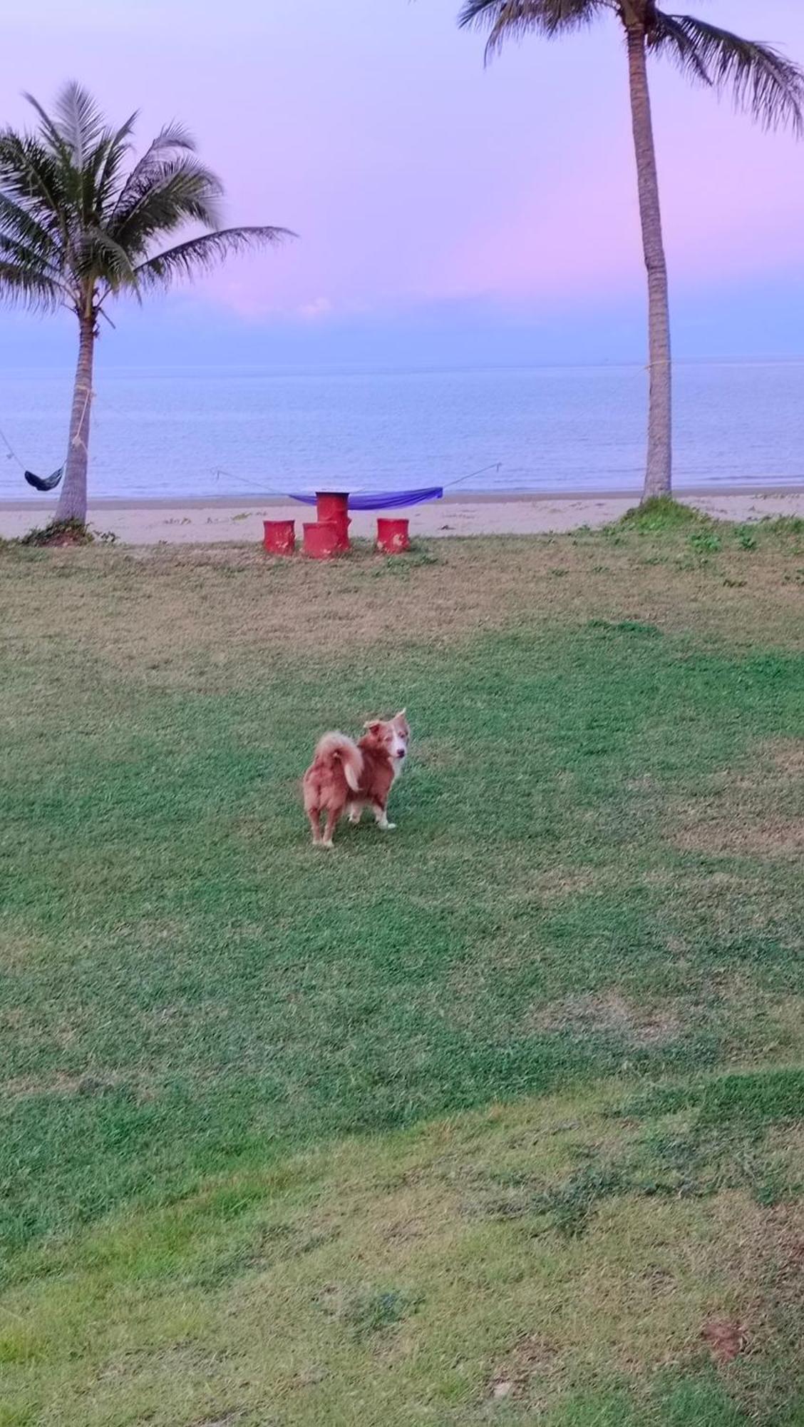 Baan Be Beach Lang Suan Ngoại thất bức ảnh